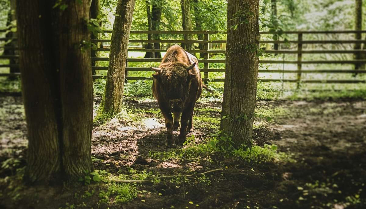 wycieczki szkolne z Warszawy